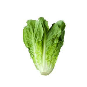 Lechuga Costina un