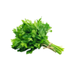 Cilantro fresco bolsa 100 gr