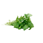 Albahaca fresca bolsa 60 gr