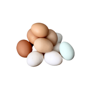 Huevos, Quesos y Dulces naturales
