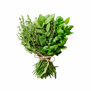 Hierbas aromáticas frescas