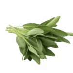 Salvia fresca 80 gr Salvia fresca